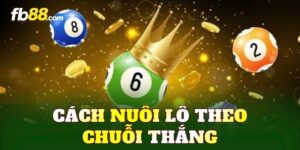 Cách Nuôi Lô Theo Chuỗi Thắng