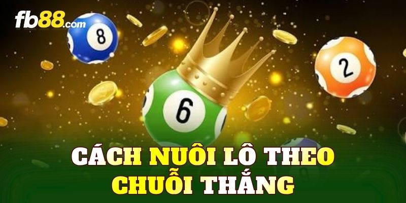 Cách Nuôi Lô Theo Chuỗi Thắng