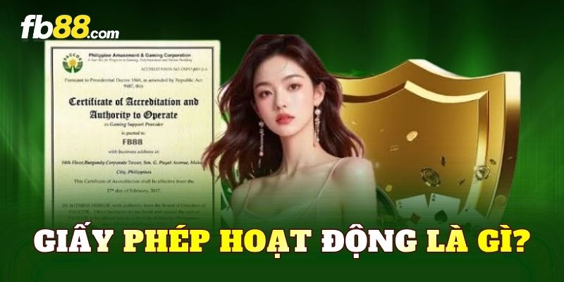 Giấy phép hoạt động là gì?