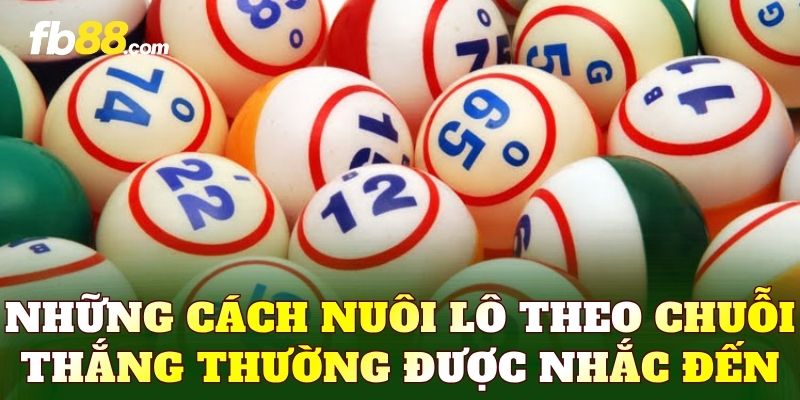 Những cách nuôi lô theo chuỗi thắng thường được nhắc đến