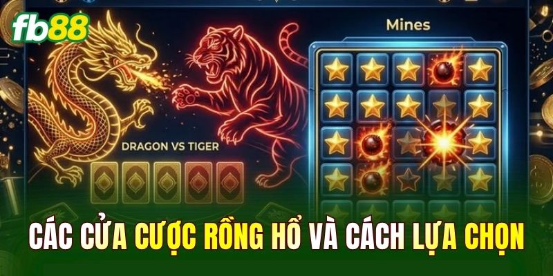 Các cửa cược Rồng Hổ và cách lựa chọn