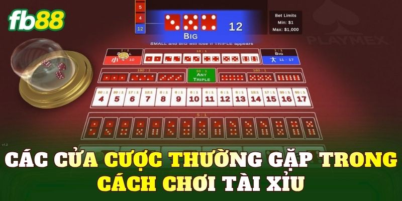 Các cửa cược thường gặp trong cách chơi tài xỉu