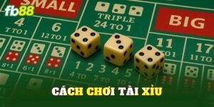 Cách Chơi Tài Xỉu