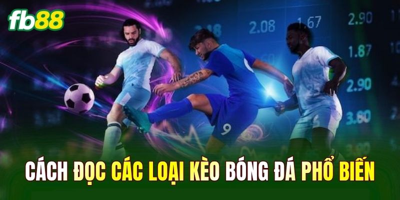 Cách đọc các loại kèo bóng đá phổ biến