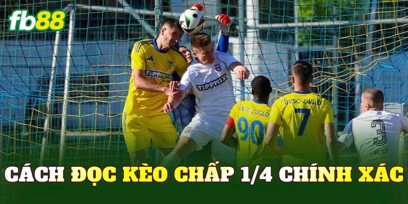 Cách đọc kèo chấp 1/4 chính xác