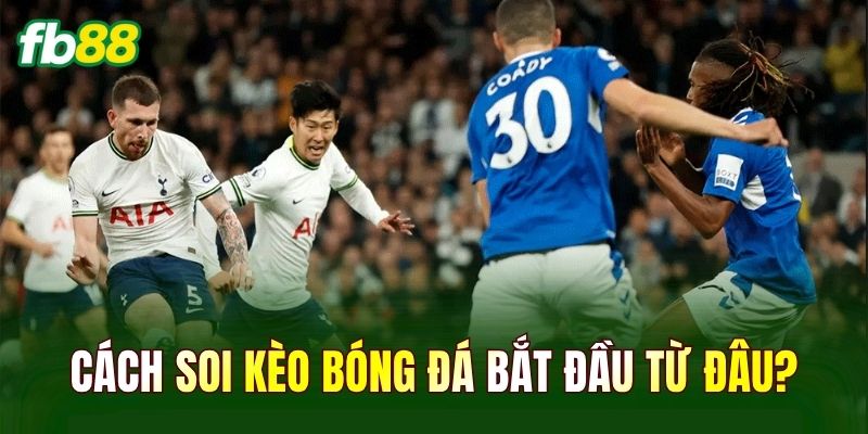 Cách soi kèo bóng đá bắt đầu từ đâu?