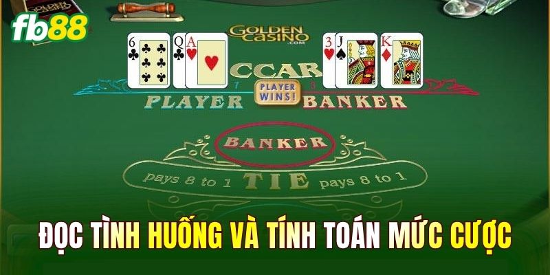 Đọc tình huống và tính toán mức cược