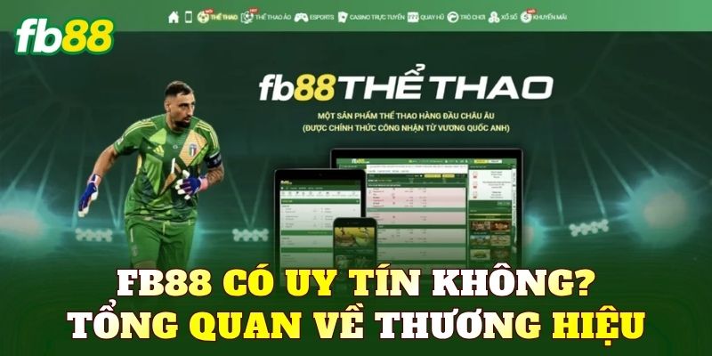 FB88 có uy tín không? Tổng quan về thương hiệu