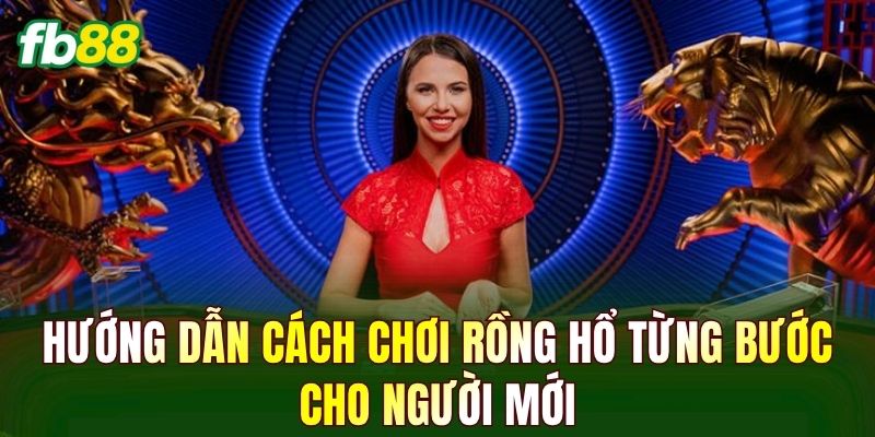 Hướng dẫn cách chơi Rồng Hổ từng bước cho người mới