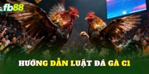 Hướng Dẫn Luật Đá Gà C1