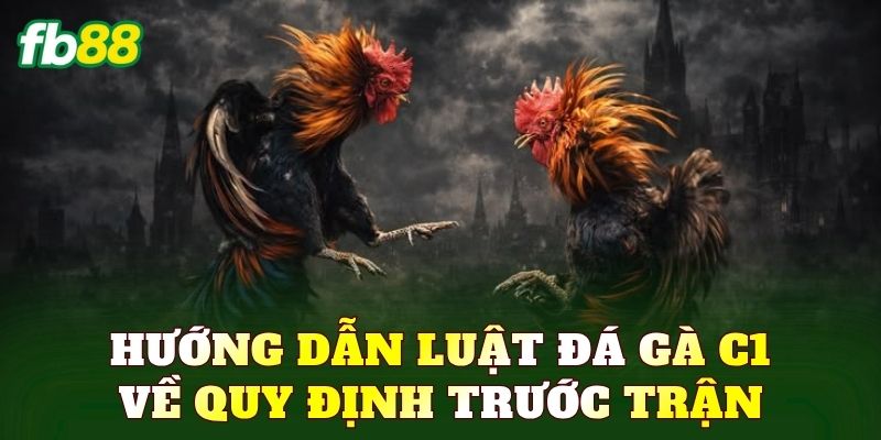 Hướng dẫn luật đá gà C1 về quy định trước trận