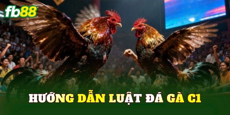 Hướng Dẫn Luật Đá Gà C1