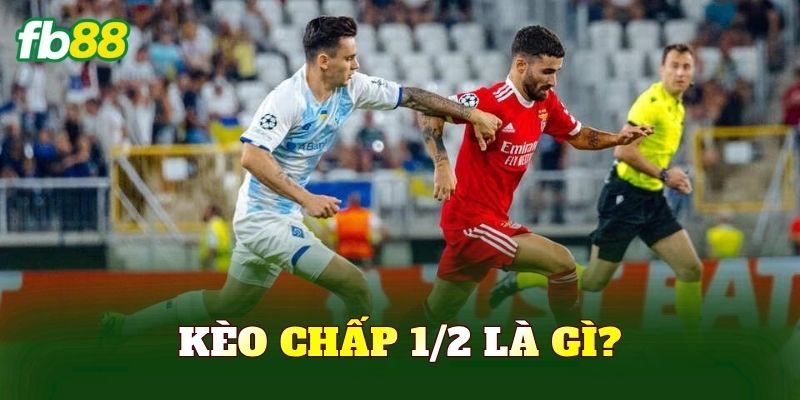 Kèo chấp 1/2 là gì?