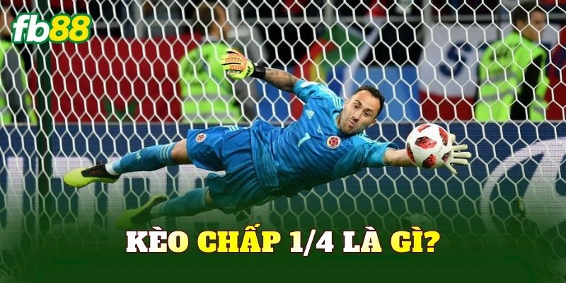 Kèo chấp 1/4 là gì?