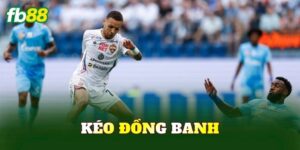 Kèo Đồng Banh