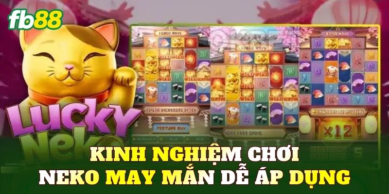 Kinh nghiệm chơi Neko may mắn dễ áp dụng