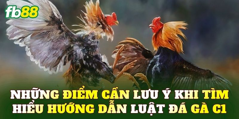 Những điểm cần lưu ý khi tìm hiểu hướng dẫn luật đá gà C1