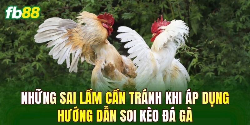 Những sai lầm cần tránh khi áp dụng hướng dẫn soi kèo đá gà