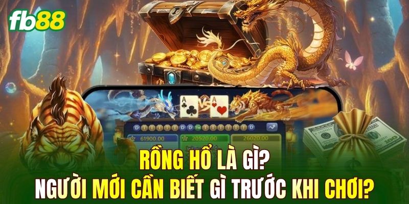 Rồng Hổ là gì? Người mới cần biết gì trước khi chơi?